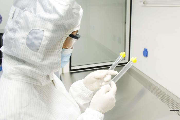 成品全检

质检员对每个产品进行检查确保产品外观、尺寸绝大部分合格。